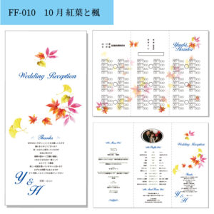 ff-010v2