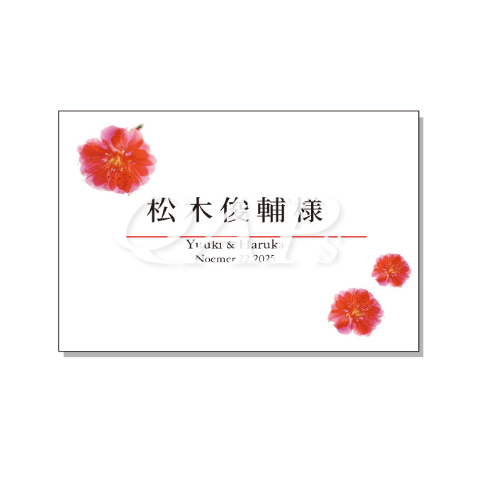 td-009-3